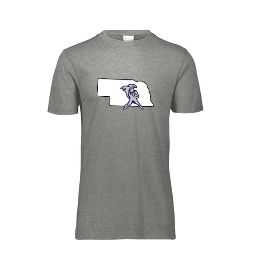 [FTSCUBGY-AS-LOGO2] Decker Men's Tri-Blend T-Shirt - Short Sleeve (Adult S, Gray, Logo 2)