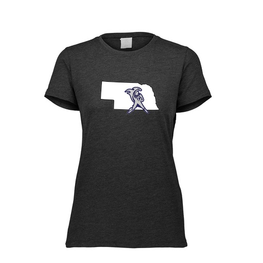 [FTSCUBBK-FAXS-LOGO2] Decker Women's Tri-Blend T-Shirt - Short Sleeve (Female Adult XS, Black, Logo 2)